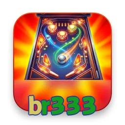 br333