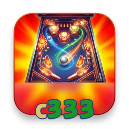 c333