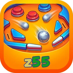 z55